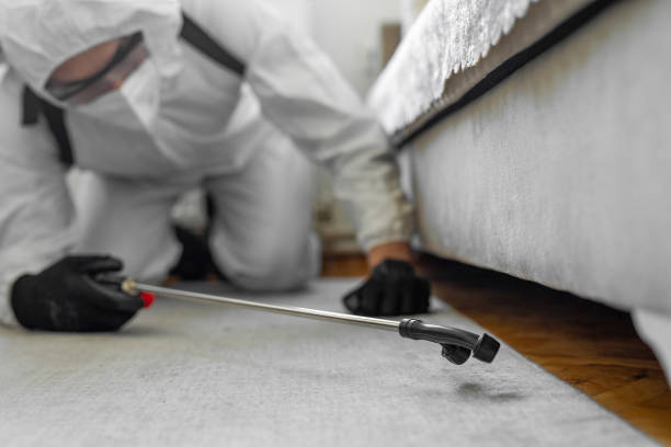 Professional Cockroach Control technician working in Caddo Parish County, LA